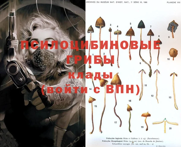 бутират Няндома