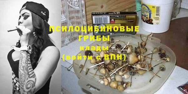 бутират Няндома
