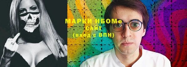 сатива Гатчина