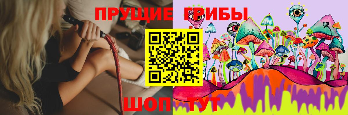 Псилоцибиновые грибы мицелий  Псилоцибиновые грибы прущие грибы  Лангепас 